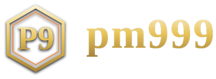 pm999 logo